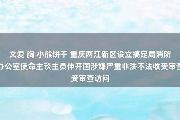 文爱 胸 小熊饼干 重庆两江新区设立搞定局消防验收办公室使命主谈主员伸开国涉嫌严重非法不法收受审查访问