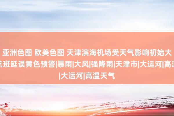 亚洲色图 欧美色图 天津滨海机场受天气影响初始大面积航班延误黄色预警|暴雨|大风|强降雨|天津市|大运河|高温天气